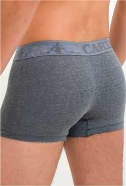 Cueca Boxer Carval Especial