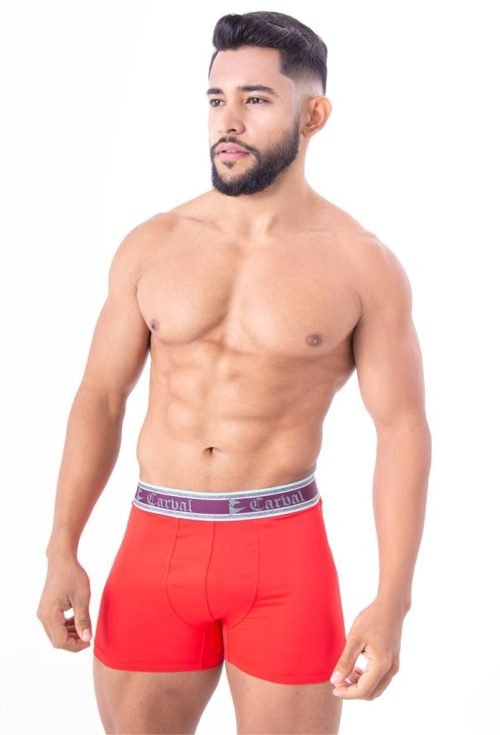 Cueca Boxer Zeus - Image 2