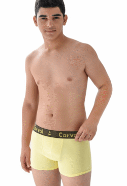 Cueca Boxer Zeus